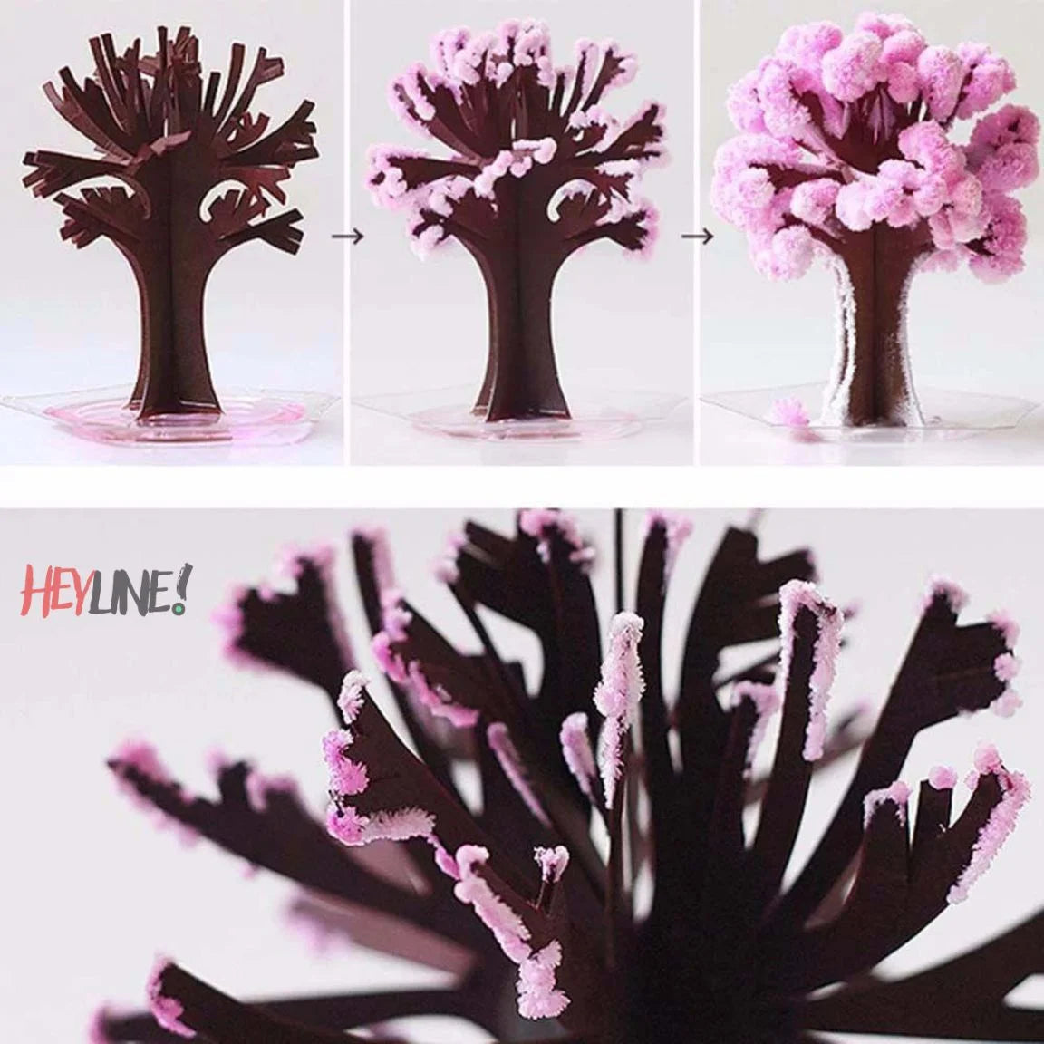 ARBOL MÁGICO 🌳🪄
