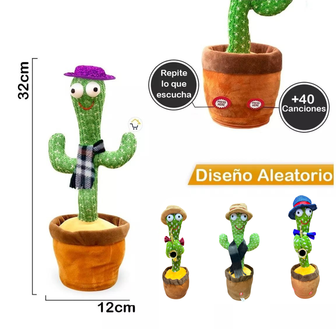CACTUS BAILARÍN 🌵