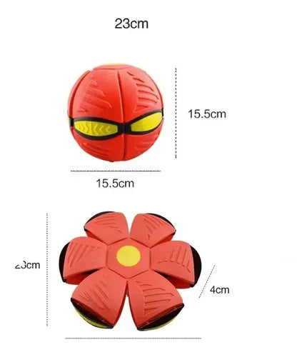 PELOTA PLATILLO BOLA MÁGICA