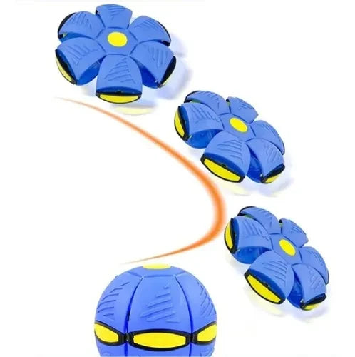 PELOTA PLATILLO BOLA MÁGICA
