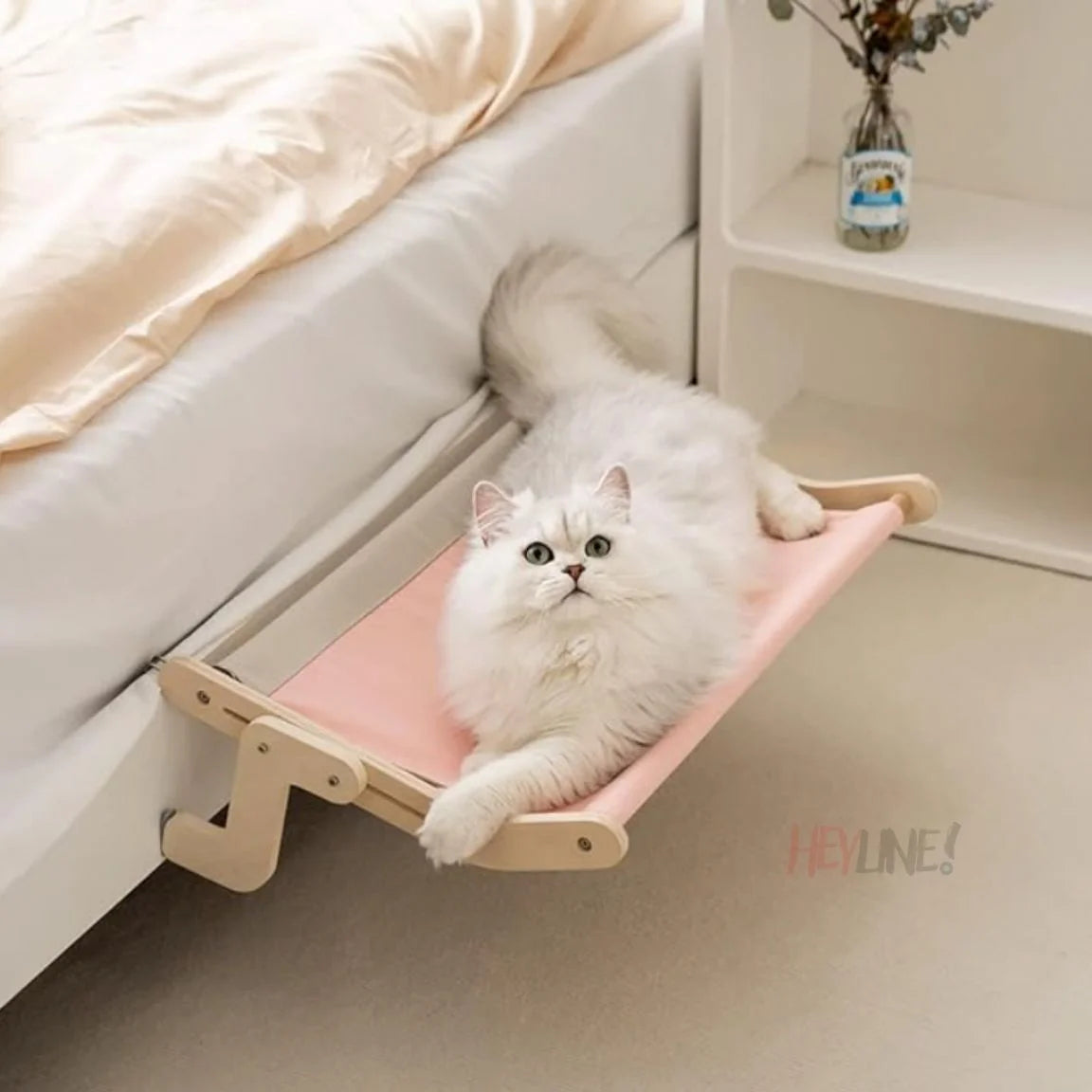 RELAX CAT 😻👑