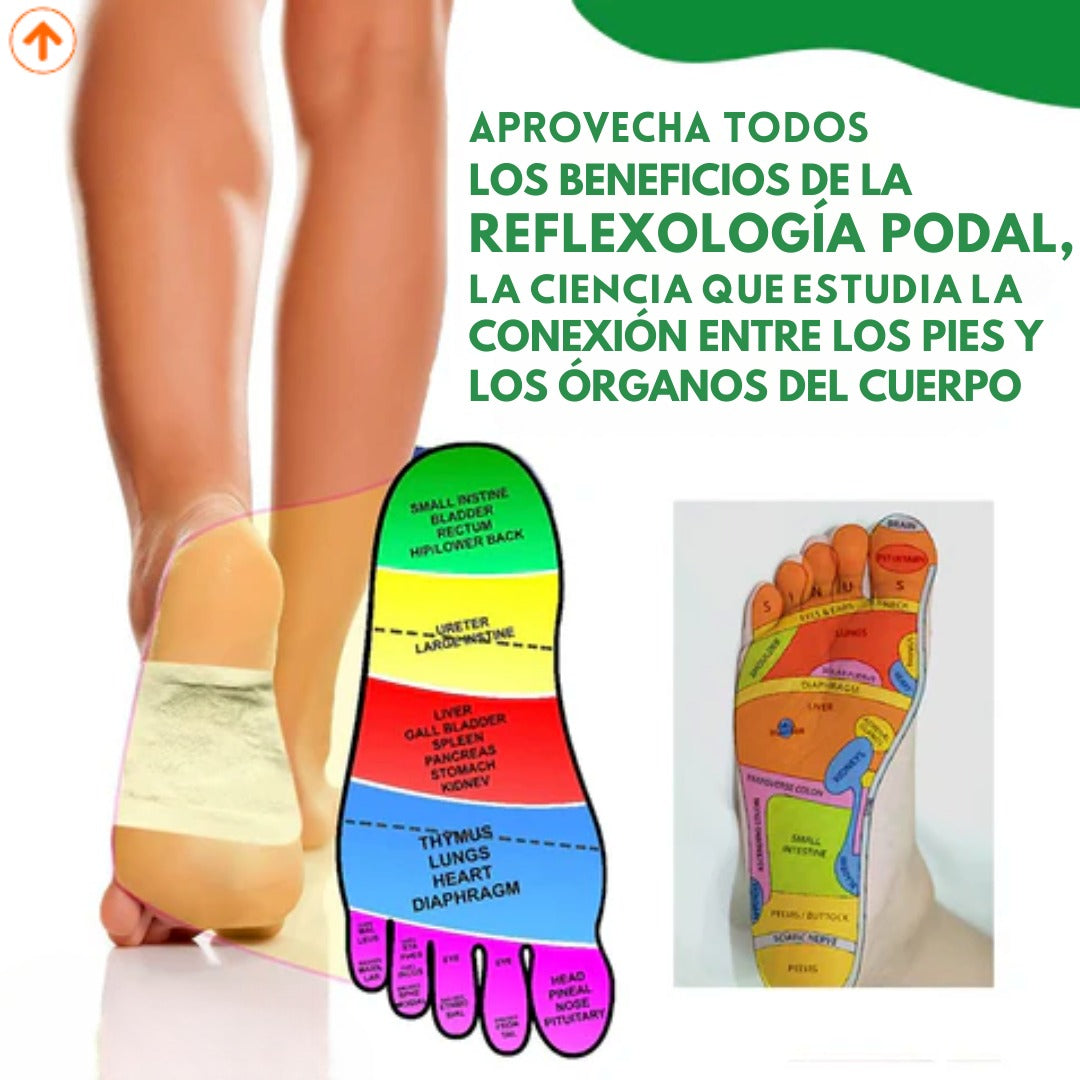 KINOKI™️ PARCHES PARA PIES 🦶 + GUÍA DE INFUSIONES SALUDABLES ☘️